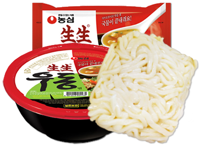 Japanese style boiled noodles