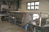 potato triming conveyor